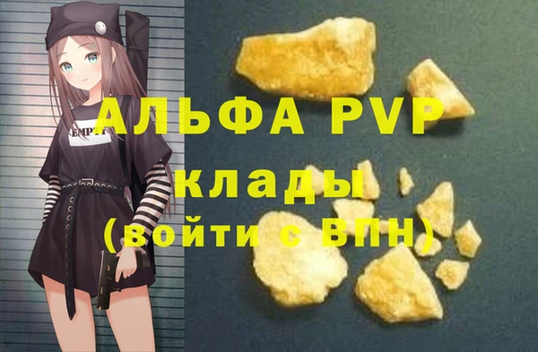 ГАЛЛЮЦИНОГЕННЫЕ ГРИБЫ Осинники