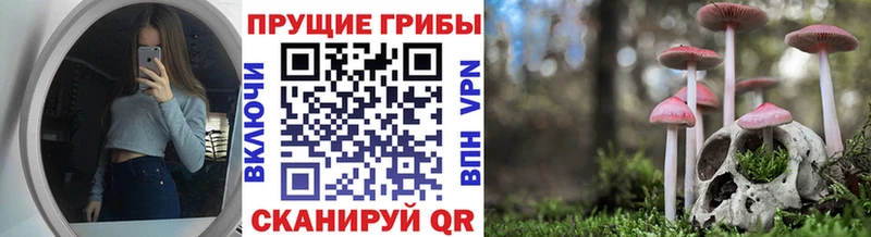 цена   Ленск  OMG онион  Псилоцибиновые грибы ЛСД 